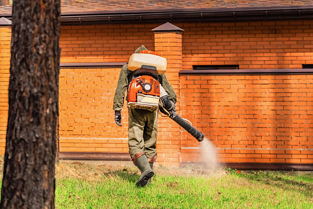 Bed Bug Clearance Verification and Documentation in Sheffield Lake